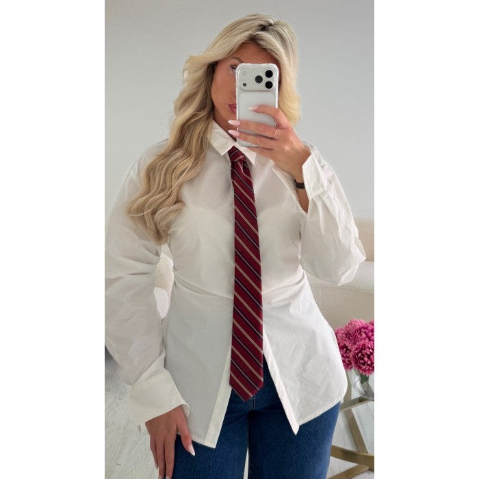 Cravate rayures bordeaux / bleu marine
