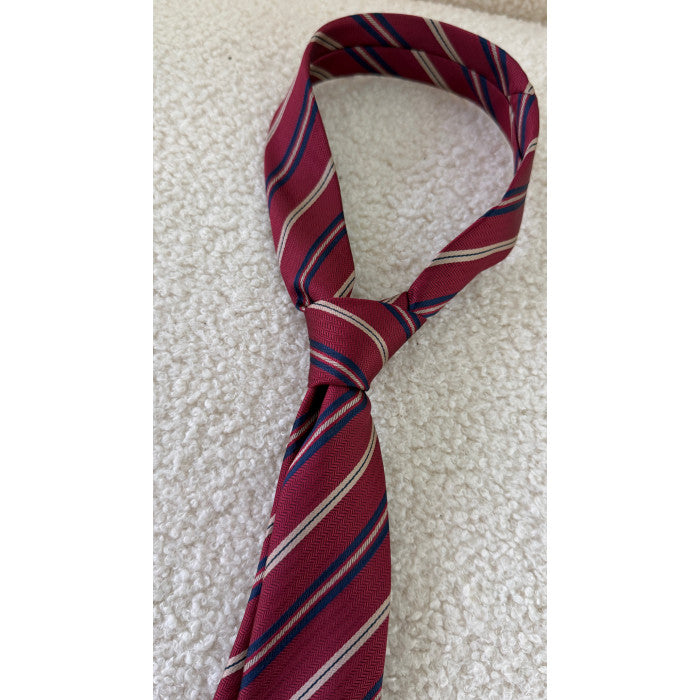 Cravate rayures bordeaux / bleu marine
